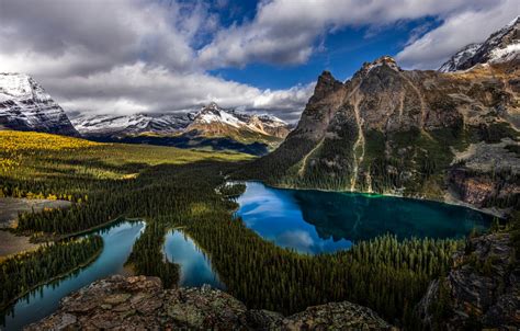 Wallpaper Forest Clouds Mountains Canada Canada British Columbia