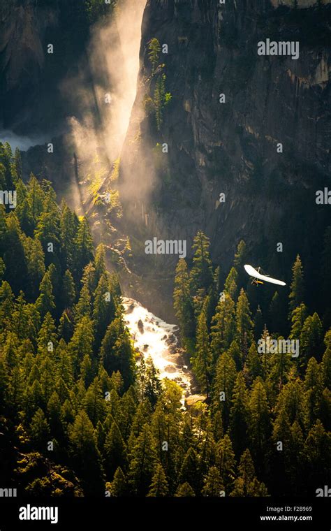 Aerial View Of Waterfall And River In Green Forest Yosemite National