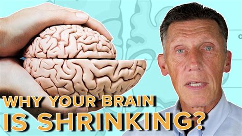 Why Your Brain Is Shrinking And How You Can Reverse It Youtube
