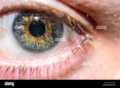Human Eye Close Up Stock Photo Alamy