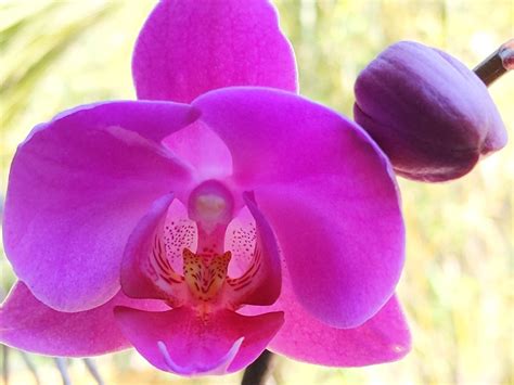 Manatee County Clerk of Court & Comptroller - Home | Facebook