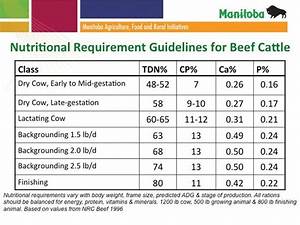 Cattle Producers Have Forage Concerns After Season