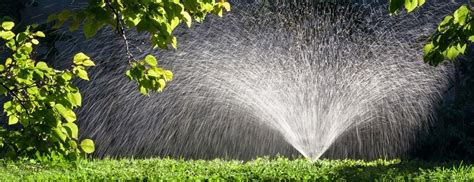 Mpr news notes standard lawns only need one inch of water weekly , including rainwater — but if it doesn't rain, you would only need to leave a. Lawn Watering Tips | Jonathan Green