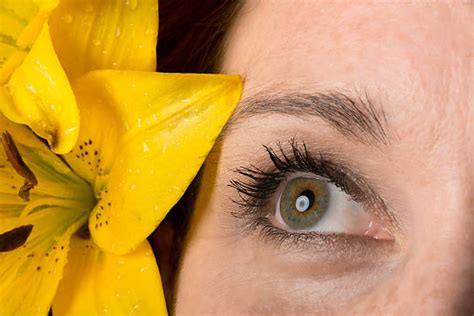 Hazel Eye Makeup Stock Photos Pictures And Royalty Free Images Istock