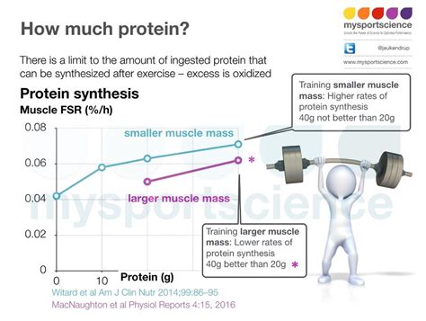 Time To Rethink The Protein Intake Guidelines For Athletes