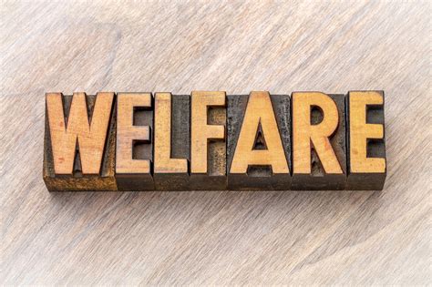 Welfare Aziendale I Risultati Del Wbr Lab Risorse Umane E Non Umane