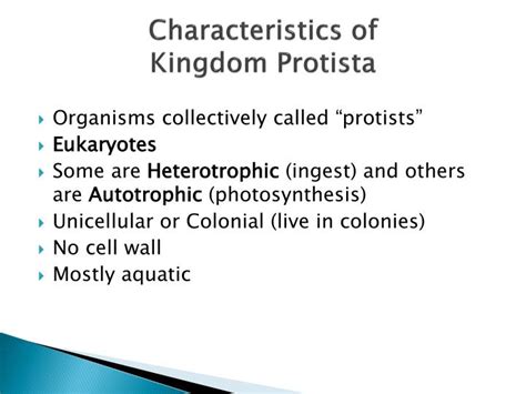 Ppt Kingdom Protista Powerpoint Presentation Id2191117
