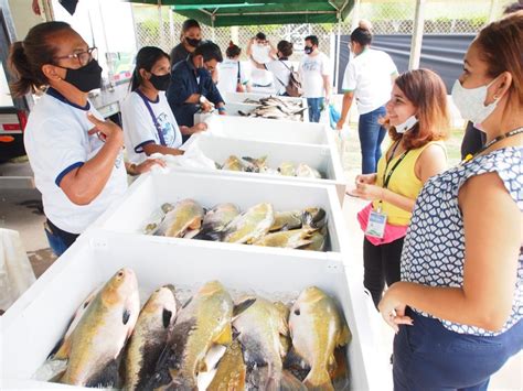 Informe Manaus Realizado Pela Ads Feirão Do Pescado Manejado Terá