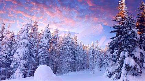 1920x1080 Trees Sky Clouds Winter Snow Mountains Light