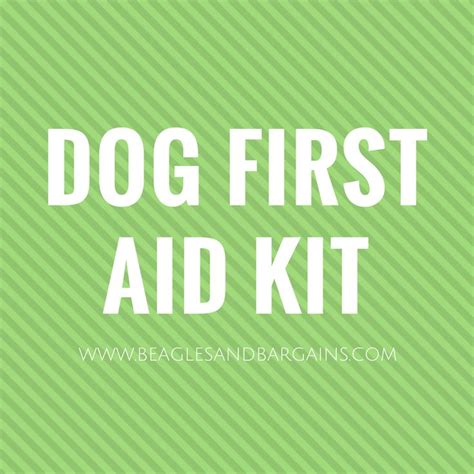 Make Your Own Dog First Aid Kit Camping First Aid Kit First Aid Kit