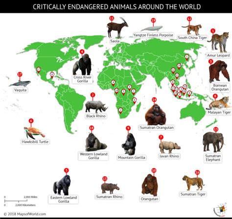 World Map Depicting Locations Of Critically Endangered Animals Answers