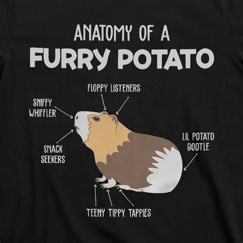 Anatomy Of A Furry Potato Guinea Pig Animal Kingdom T Shirt