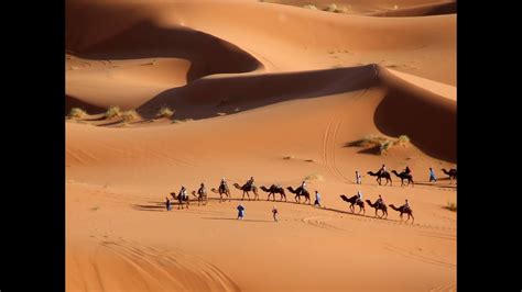 Beautiful Landscape Of Sand Dunes Of Sahara Desert Erg