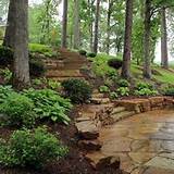 Pictures of Wooded Backyard Landscaping Ideas