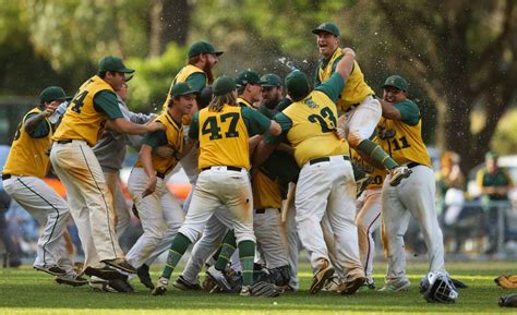 Toronto Tigers Break 69 Year Baseball Drought Photos Newcastle