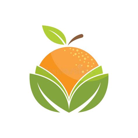 Orange Fruit Logo Stock Vector Illustration Of Nature 265078737