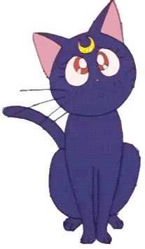 Discover images and videos about anime gif from all over the world on we heart it. Png cute anime girl cute animal GIF on GIFER - by Alsadred