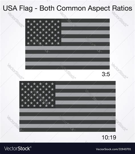 Accurate Correct Grayscale Usa Flags 2 Sizes Vector Image