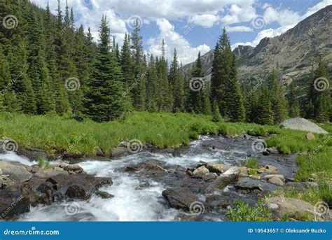 Forest Stream In Colorado Rocky Mountains Stock Image Image Of River