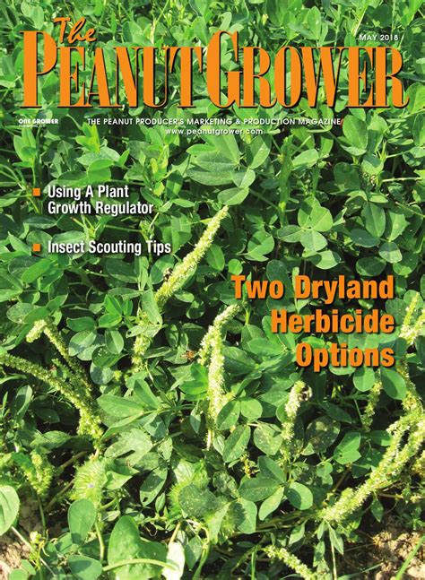 Peanut Grower May 2018 By One Grower Publishing Issuu
