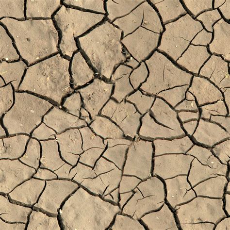Free photo: Cracked Soil Texture - Black, Clay, Dirt - Free Download ...