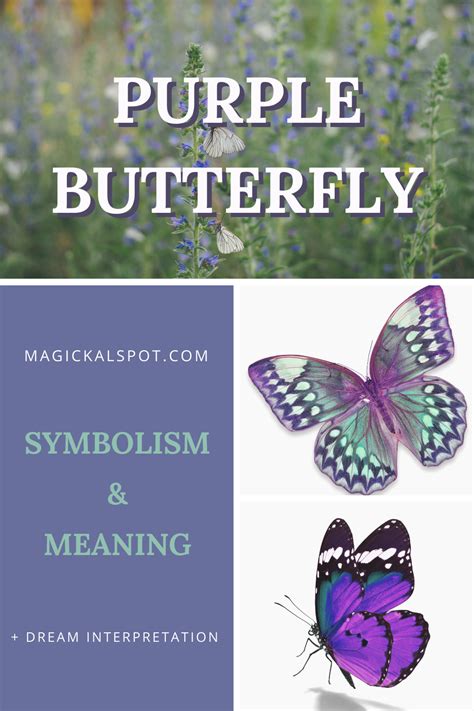 Since Ancient Times The Butterfly Has Always Been A Symbol Of Mutation