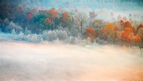 Misty Morning Photo Art Fine Art Landscape Illustration