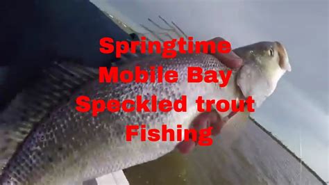 Mobile Bay Springtime Fishing For Speckled Trout Youtube