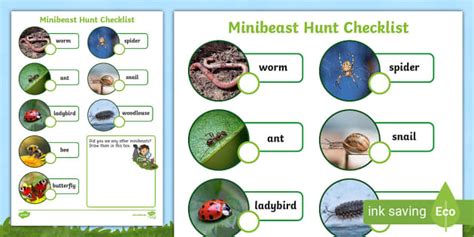 FREE Minibeast Hunt Photo Checklist Teacher Made