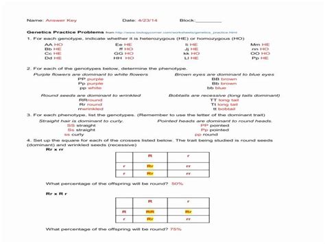 Https://wstravely.com/worksheet/genotype Practice Worksheet Answer Key