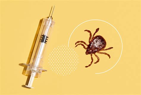 Lyme Vaccines Are Finally Coming And They May Not Look Like Youd Expect