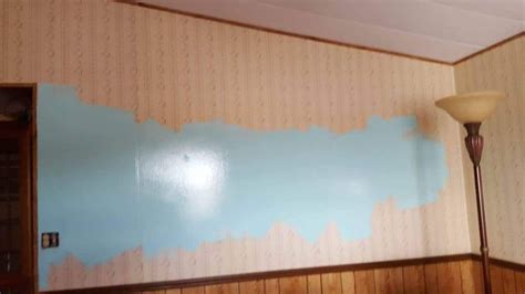 How To Paint Vinyl Walls And Remove Battens In Mobile Homes Painting