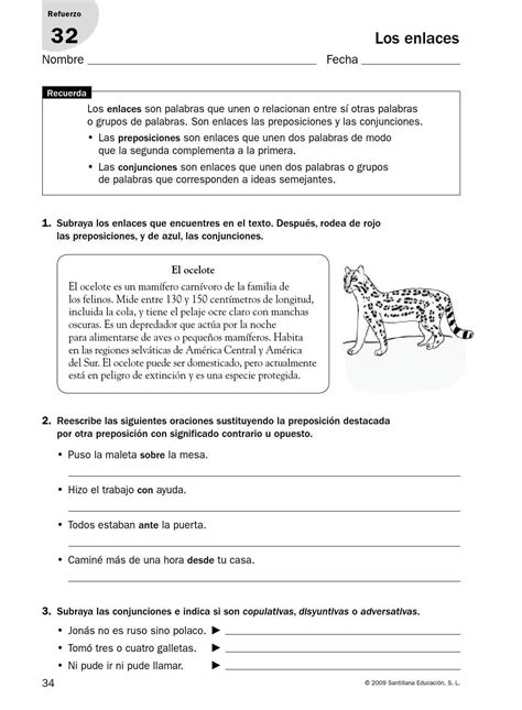 Grammar Book Spanish Class Plurals Teachings Homeschool Editorial Word Search Puzzle