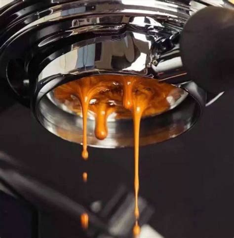 Porta Filtro Bottomless Naked Coffee Mm E Alfa M Quinas De Caf