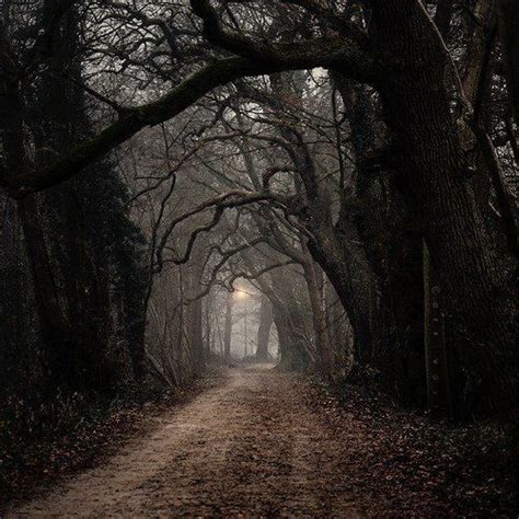 Hollow Path England Dark Forest Castle Gothic Middle Ages Via