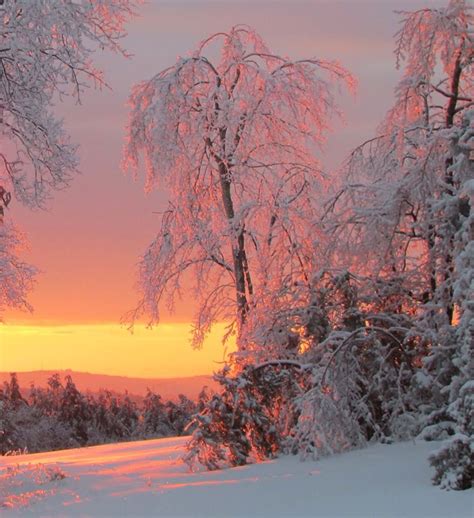 Maine Maine Winter I Love Winter Winter Sunset Winter Scenery