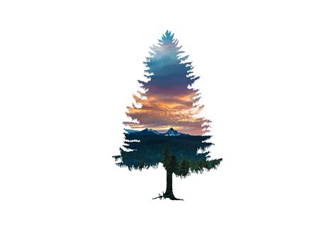 Tree Abstract Nature 5k, HD Abstract, 4k Wallpapers ...