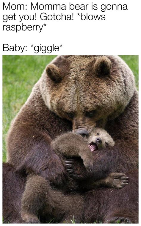 A Mothers Love Is Universal Rwholesomememes