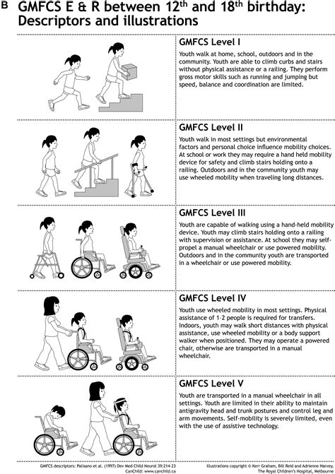 Classification Systems In Cerebral Palsy Orthopedic Clinics