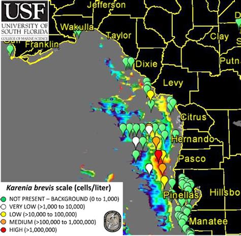 Red Tide Map Florida West Coast United States Map