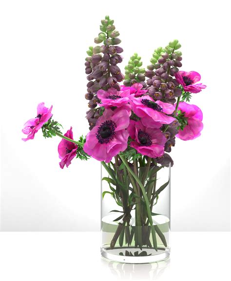 Anemone 3D Model $9 - .obj .3ds .fbx .max .ma - Free3D