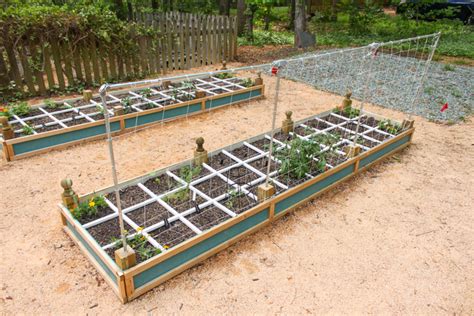 ideal garden trellis:height 6.3 feet(75.6 inches), perfect size to work as plant trellis.the vertical tomato tower obelisk gives flowering vines,vegetables and other planters a sturdy support to climb.adds dramatic height to your garden with vertical trellising. How to Build a Vegetable Trellis on a Budget - Pretty Handy Girl
