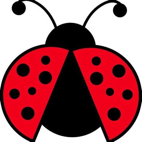 Ladybug Graphic Ladybug Graphic Ladybug Clip Art