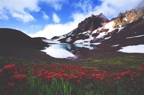 Wallpaper Landscape Mountains Flowers Lake Water Nature