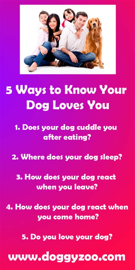 5 Ways To Know Your Dog Loves You