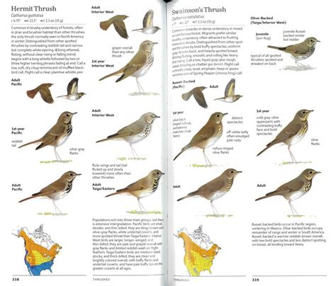 Birds Of Western North America NHBS Field Guides Natural History