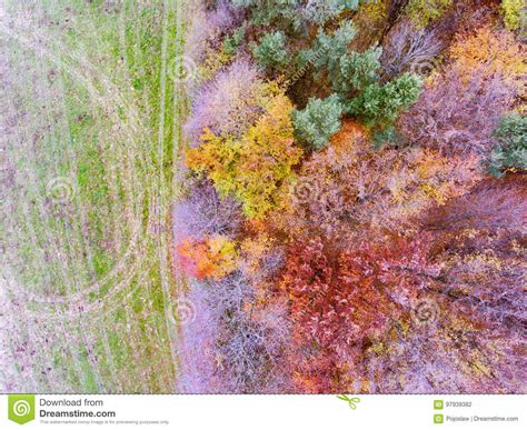 Aerial View Of Colorful Autumn Forest Stock Photo Image Of Aerial