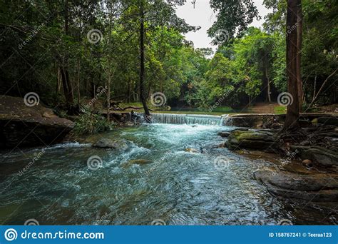Waterfall Forest Water Tropical Climate Swimming Pool Stock Image