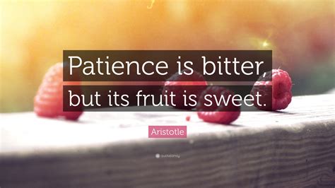 Quotes About Patience In Business 33 Quotes