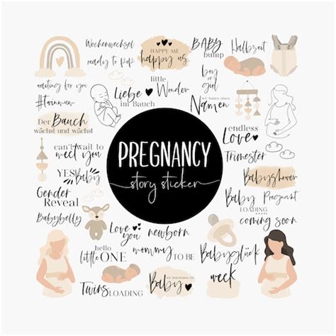 90 INSTAGRAM STORY STICKER Set Pregnancy Etsy